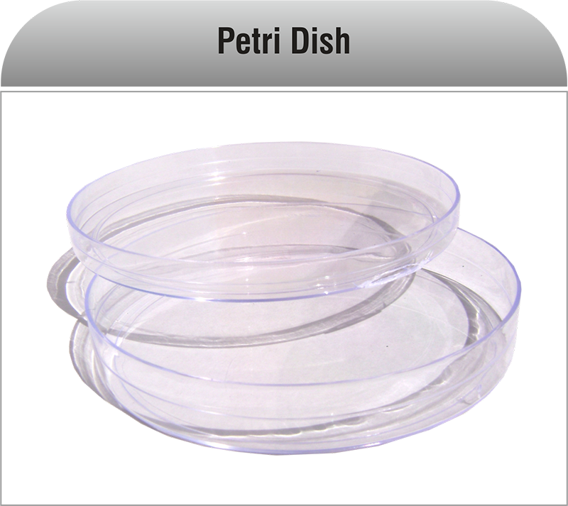Manufacturer of Petri Dish in India
